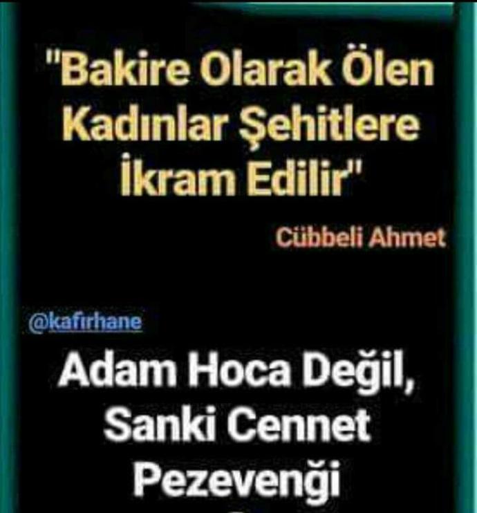 Bakire olarak ölen kadınlar, şehitlere mi ikram ediliyor?