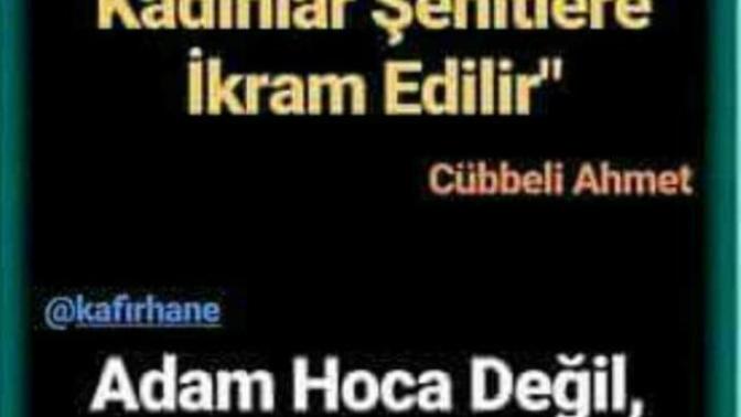 Bakire olarak ölen kadınlar, şehitlere mi ikram ediliyor?