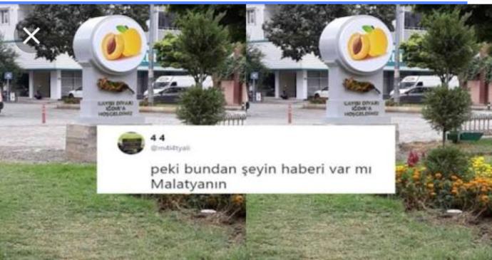Kayısının anavatanı neresidir?