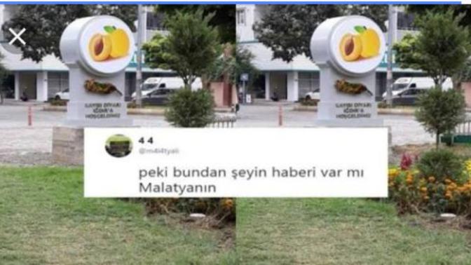 Kayısının anavatanı neresidir?