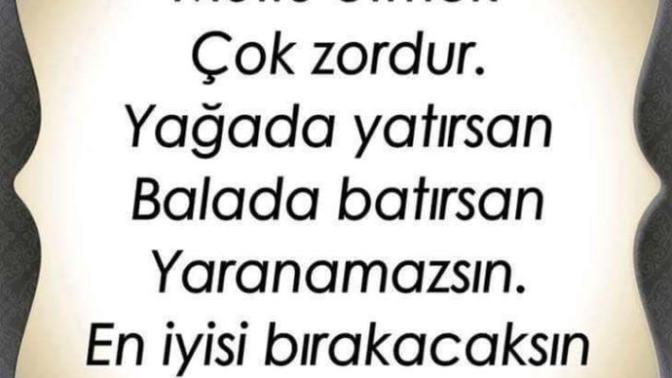 Nankör insanlar için düşünceleriniz ne?