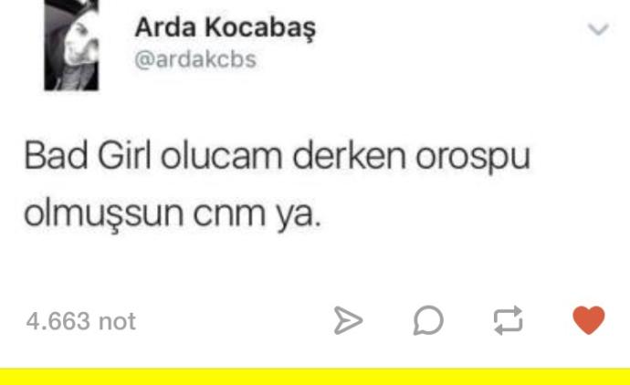 Şu badboy badgirl havasını hiç anlamıycam nedir yani?