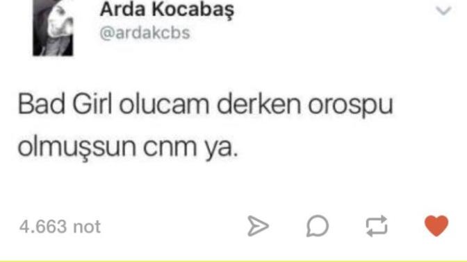 Şu badboy badgirl havasını hiç anlamıycam nedir yani?