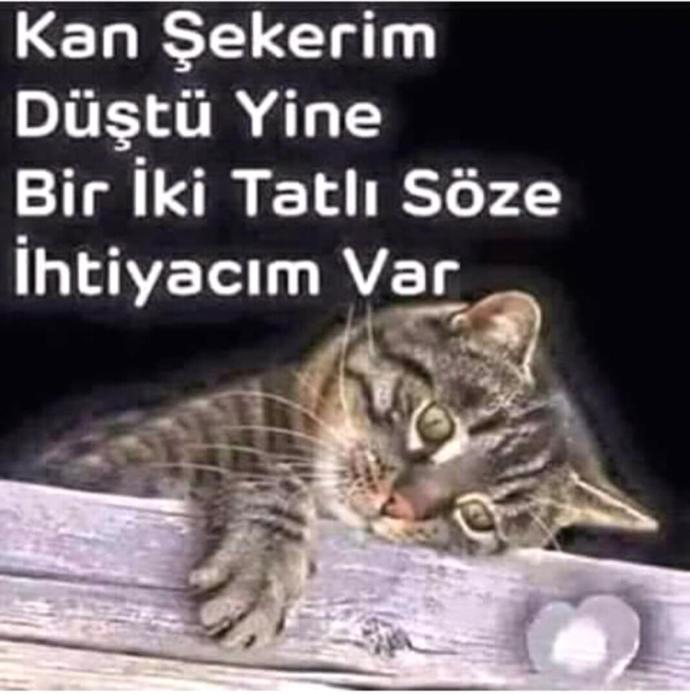 Günaydııınnn bir kaç tatlı söze ihtiyacım var sanki 😊😊?