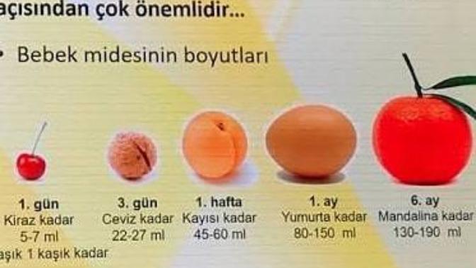 Bebek midesi sizce de küçücük değil mi?