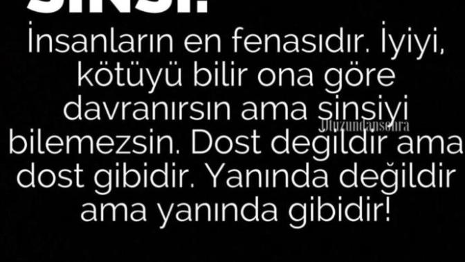 Size göre "SİNSİ" insan tanımı nedir?