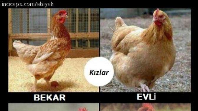Evli ve bekar arasındaki fark doğru mu? Ben evlenirsem böyle bir horoz mu olacağım 😂 ?