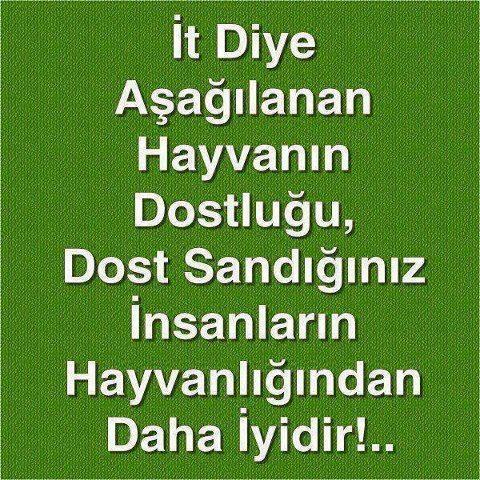 İnsanlar yüzsüz mü, yoksa ikiyüzlü mü?