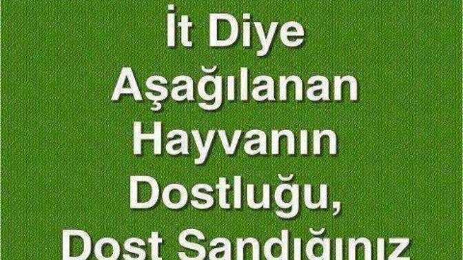İnsanlar yüzsüz mü, yoksa ikiyüzlü mü?