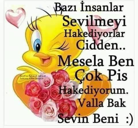 ‘’Gördüğünü herkes sever, sen onda görmediğini bulacaksın. Eğer gerçek aşk istiyorsan; Ten’e değil, kalbe dokunacaksın.’?