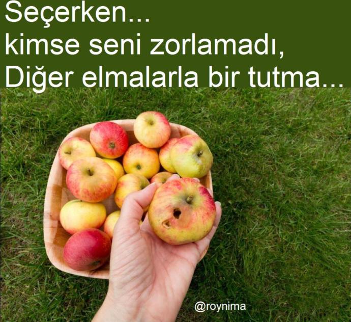 Bir erkeğin seksten daha çok hoşuna giden şey nedir?