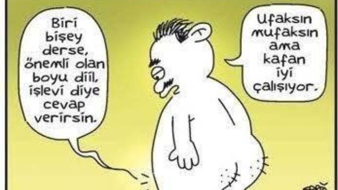 Önemli olan hangisi? Boyu mu işlevi mi?