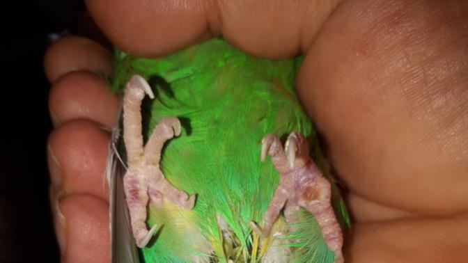 Sizce ciddi birşey mi ölür mü?