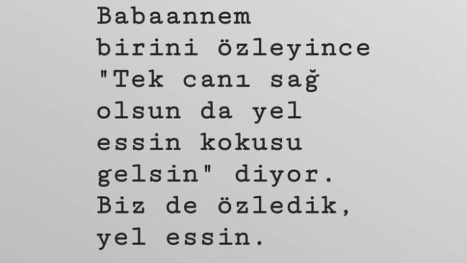Birine özlem duyduğunuz zaman ne yaparsınız?