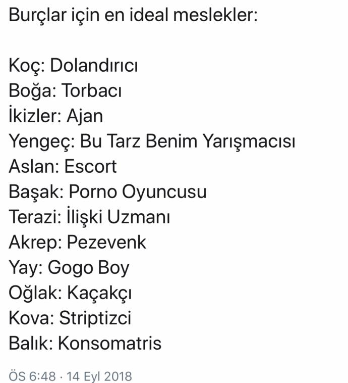 Burcunuza göre ideal mesleğiniz nedir?
