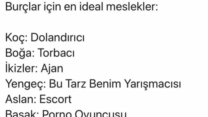 Burcunuza göre ideal mesleğiniz nedir?