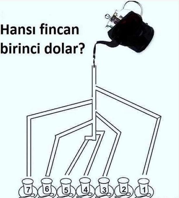 Sence ilk hangi fincan dolar?