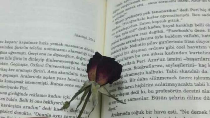 Hiç kitap arasında çiçek kuruttunuz mu?