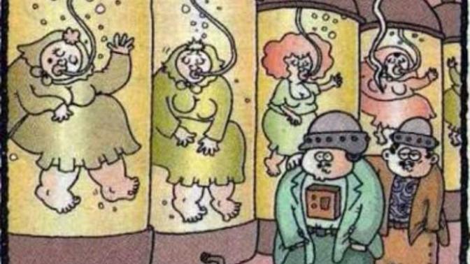 Kız Kurusu Ne Demek?🤣😃?