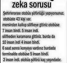 Zeka sorusu sizce cevap nedir?