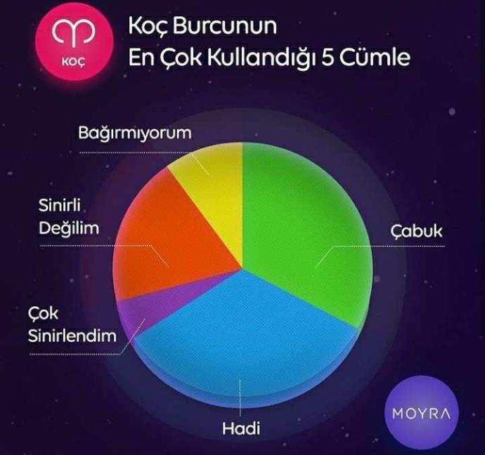 Koç burcunun en çok kullandığı 5 cümle?
