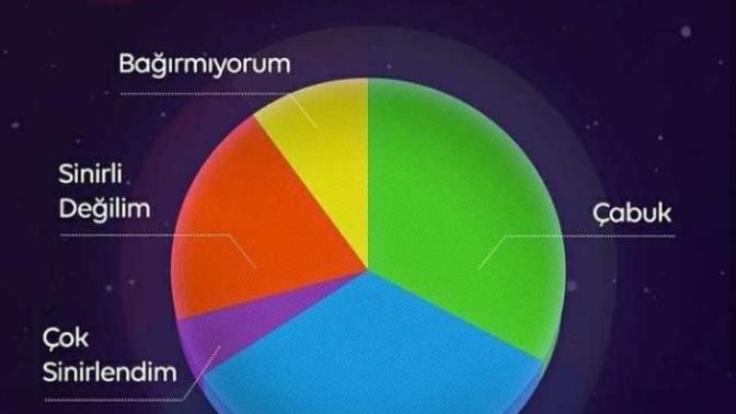 Koç burcunun en çok kullandığı 5 cümle?