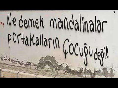 Mandalinalar portakalların çocukları mıdır?