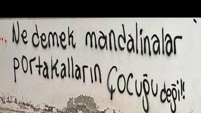 Mandalinalar portakalların çocukları mıdır?