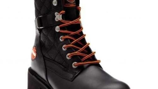 Harley davidson bot aldım sizce nasil?