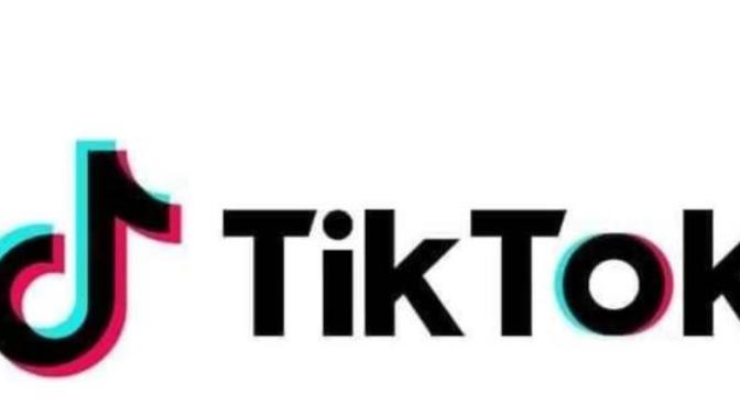 TikTok uygulamasının ülkemizde yasaklanması bekleniyor, siz kullanıyor musunuz?