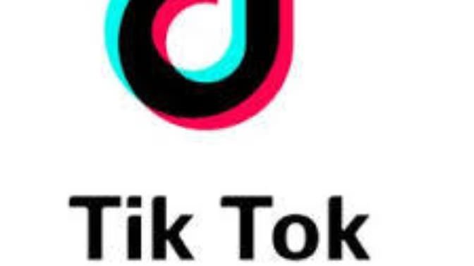 Tik Tok ta en sevdiğiniz akım hangisi?
