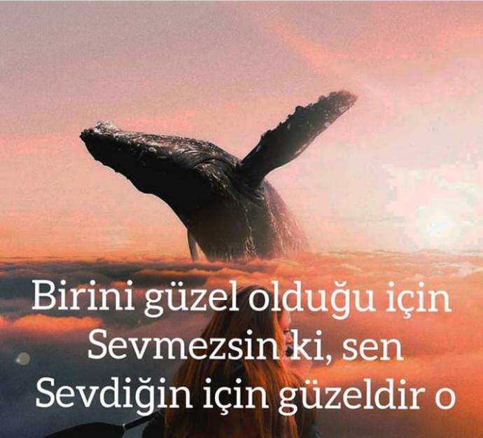 Birini güzel olduğu için mi seversiniz?