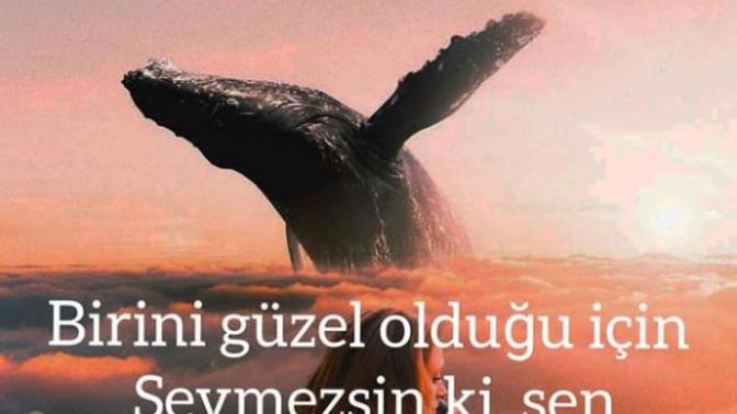 Birini güzel olduğu için mi seversiniz?