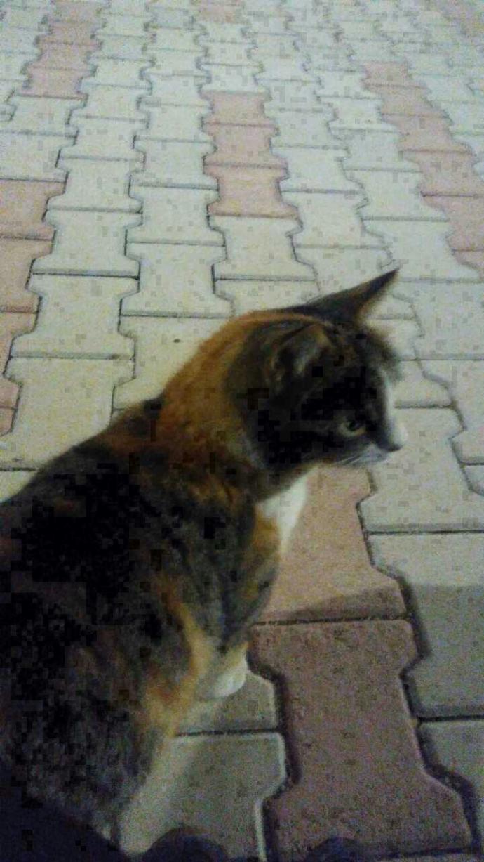 Bir ilişkide günaydın mesajı ile iyi geceler mesajı şart mı?