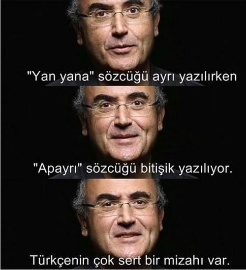"Yan yana" ayrı yazılırken "apayrı" nın bitişik yazılması ne kadar düşünceli değilmi?