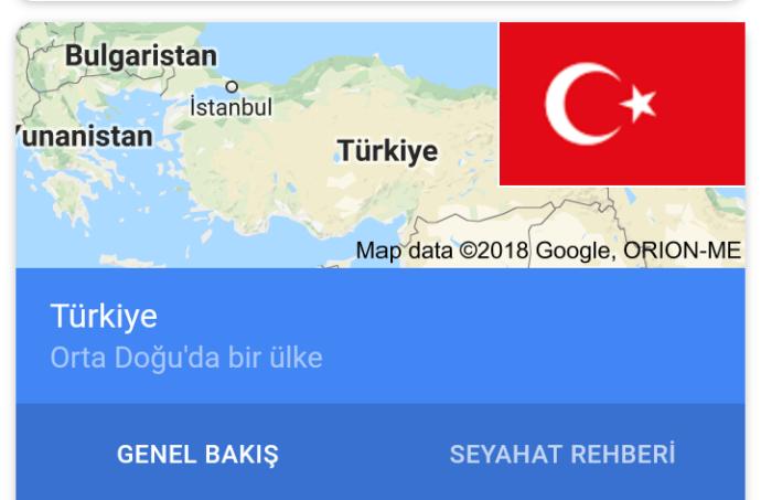 Google Türkiye'yi neden ortadoğu ülkesi sanıyor?