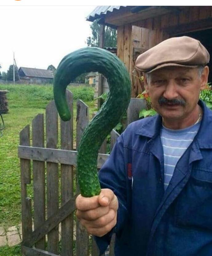 Hıyar Seven varmı?