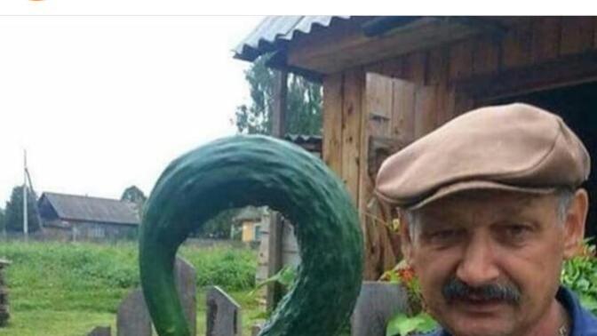 Hıyar Seven varmı?