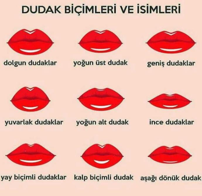 Dudak şekliniz Hangisi Kizlarsoruyor Dudak şekliniz Hangisi Kizlarsoruyor