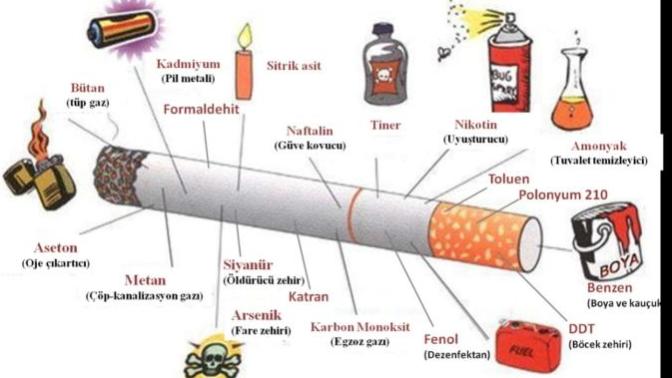 Sigaranın içinde bulunan bu maddeler gerçekten doğru mu?
