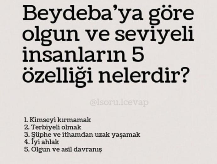 Size göre , olgun ve seviyeli insanların özellikleri nelerdir?