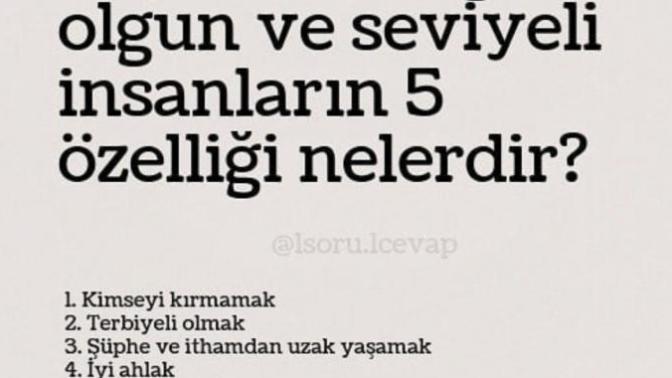 Size göre , olgun ve seviyeli insanların özellikleri nelerdir?