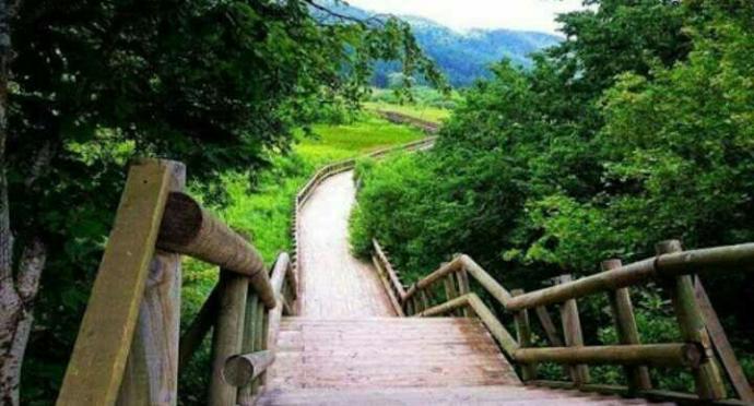 Arkadaşlar Bolu Abant'taki bu yürüyüş yolunun sonu nereye çıkıyor?