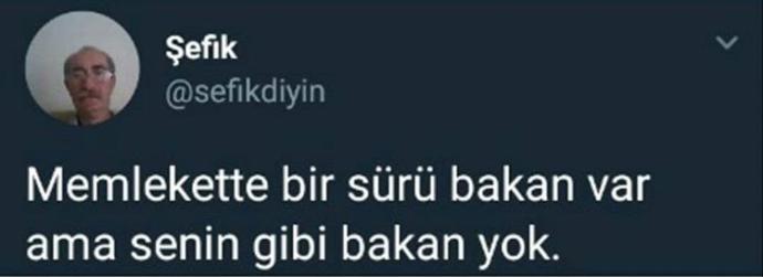 Sevdiğiniz birisini överken abartır mısınız?