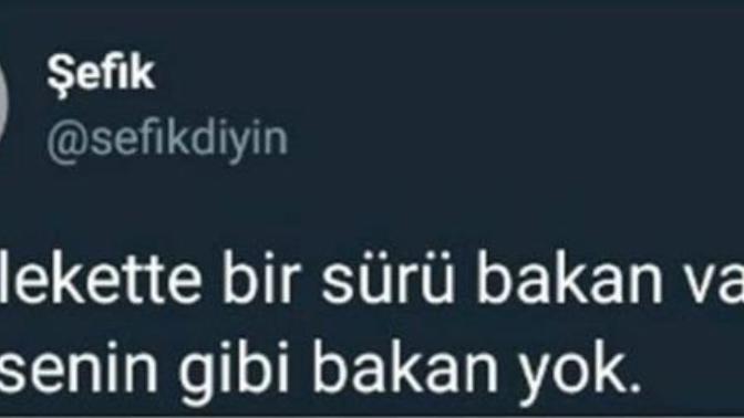 Sevdiğiniz birisini överken abartır mısınız?