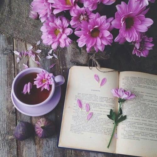 Kitap siparişi vereceğim. Bana kitap önerir misiniz?