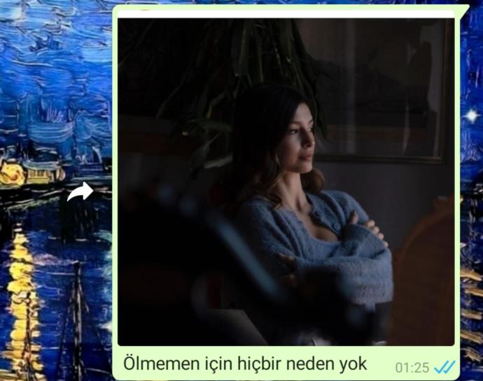Sevgilim instagramda kız fotoğrafı beğenmiş?