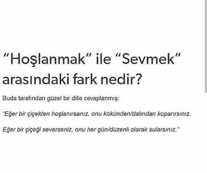 Hoşlanmak ile sevmek arasındaki fark nedir?😊😊😊?