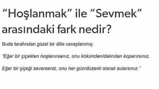 Hoşlanmak ile sevmek arasındaki fark nedir?😊😊😊?