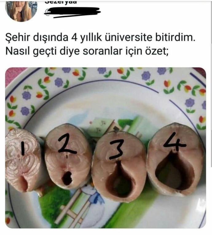 Şehir dışında 4 yıllık üniversite bitirenler bu doğru mu 😂😂?